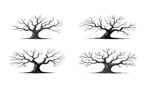 Large leafless tree silhouettes set, old bare trees with spreading branches, nature landscape elements in black
