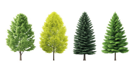 Tall green tree, yellow tree, dark green pine, and lush evergreen tree stand isolated on transparency background, showcasing different foliage textures and vibrant natural beauty