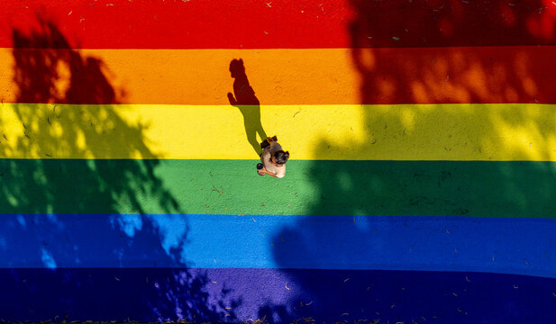 Aerial view of rainbow LGBTQ+ pride paths, with a person walking across the rainbow expressing equality, diversity, and belonging, Melbourne, Victoria, Australia.