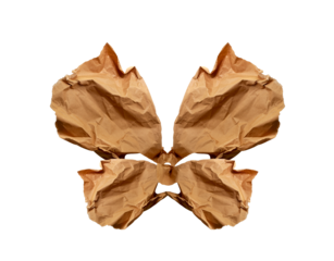 Brown paper, paper scrap, butterfly wings, isolated. Modern abstract image, line arts. Conceptual beetle abstraction, sustainable use of materials, crumpled used paper. Minimalist paper wallpaper. PNG