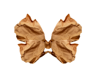 Brown paper, paper scrap, butterfly wings, isolated. Modern abstract image, line arts. Conceptual beetle abstraction, sustainable use of materials, crumpled used paper. Minimalist paper wallpaper. PNG
