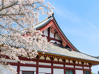 【奈良県】大和郡山市 矢田寺(金剛山寺) (2025/04/09撮影)