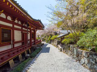 【奈良県】大和郡山市 矢田寺(金剛山寺) (2025/04/09撮影)