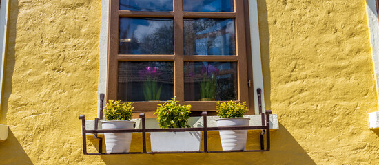 Window sill with three potted plants and a window
