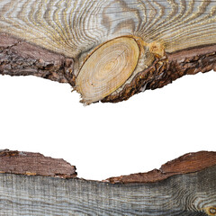 Close-up natural tree wood section isolated on white background