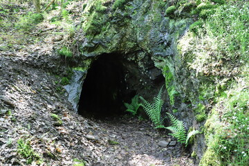 Ein Wandertag an der Mosel