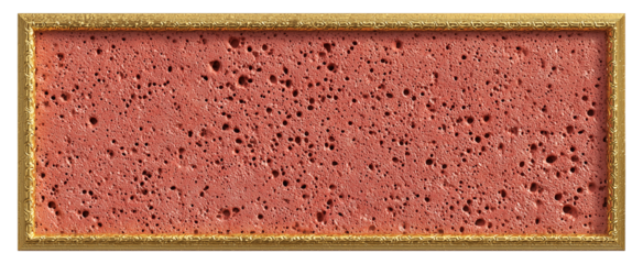 rectangular coral stone plaque with porous natural texture and gold frame isolated on white background top view