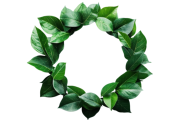 Lush green foliage forms a natural circular wreath border against a stark for elegant design elements on transparent background