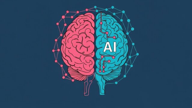The dual hemisphere brain concept showcasing human intellect with artificial intelligence - Powered by Adobe