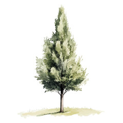 Fototapeta premium A_Watercolor_style_painting_of_a_cypress_tree_on_a_white_Hand-painted style, vectorized, vector set available in EPS An Elegant watercolor painting design