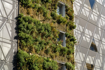 View of a building facade adorned with lush vertical gardens contrasting with a modern geometric facade, Vastra Hamnen, Malmo, Sweden.