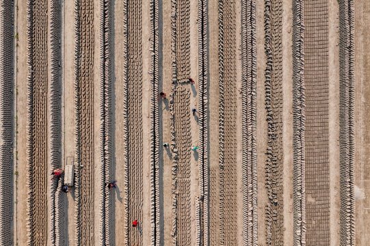 Aerial view of workers toiling in the fields, their figures small against the vast, patterned earth, Dhaka, Dhaka Division, Bangladesh.