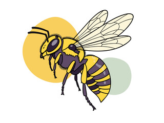 A detailed illustration of a yellow and black striped wasp with translucent wings, set against a minimalist background with abstract circular shapes.