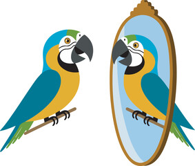 Fototapeta premium Macaw parrot looking at reflection in mirror.