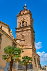 Naklejka premium Cathedral of the Incarnation of Guadix, Granada, Andalusia, Spain.