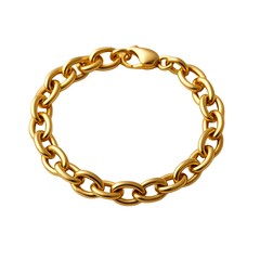 Obraz premium golden chain isolated on white