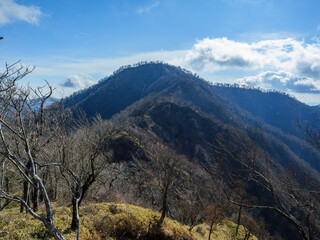 大笄から檜洞丸を振り返る