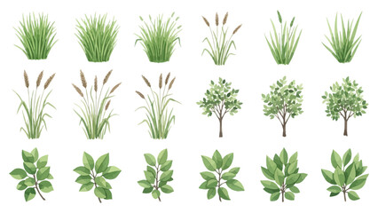 Set of realistic isolated vector illustrations featuring a collection of green plants, grasses, bushes, and deciduous trees on a white background
