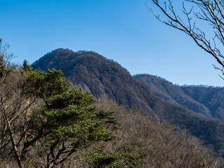 犬越路から檜洞丸方面