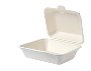 Unfolded square biodegradable food container on white