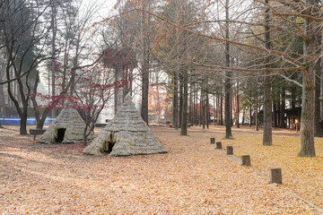 Autumn forest park featuring traditional thatched huts among tall trees, fallen leaves covering the ground, soft sunlight creating a calm, scenic atmosphere with cultural and natural harmony.