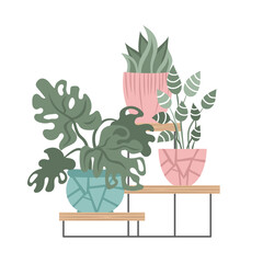 Hand drawn indoor house plant collection. Pots and shelves