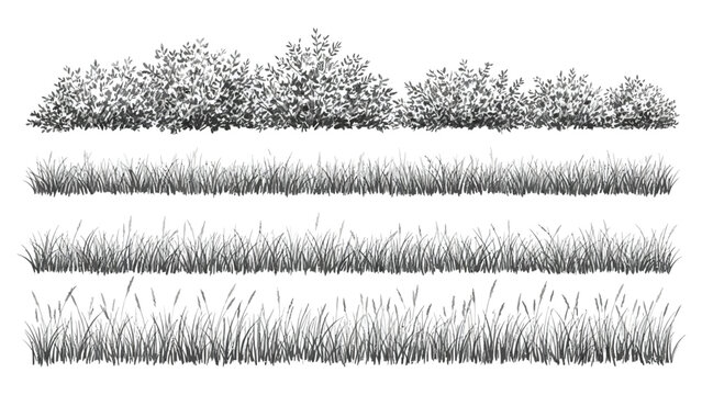 Set of detailed black and white line art vector illustrations featuring various grasses, reeds, and bushes on a white background, ideal for architectural and landscape design drawings
