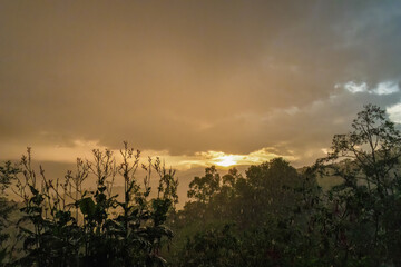 The rain falling on the vegetation at the end of a sunset, in a garden farm in the eastern Andean mountains of central Colombia, near the Iguaque natural reserve.