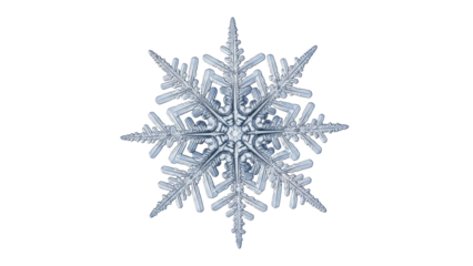 Isolated beautiful snowflake crystal with ornate design, fragile and delicate beauty