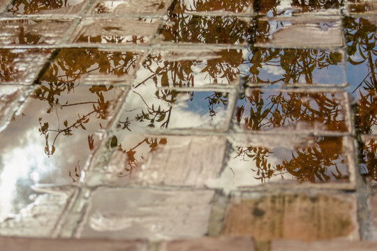 The sky and the foliage reflected on a rain puddle over a clay tile floor, in a farm in the eastern Andean mountains of central Colombia, near the Iguaque natural reserve.