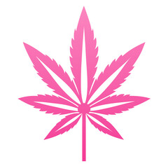 canna flower pink silhouette on white