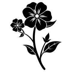 cerastium fontanum silhouette on white