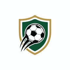 Obraz premium soccer ball vector