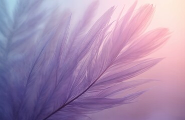 Obraz premium Delicate feather with violet, pink color gradient. Soft texture dreamy airy feel. Pastel colors blend smoothly. Trendy background art for creative projects concepts. Design element for advertising