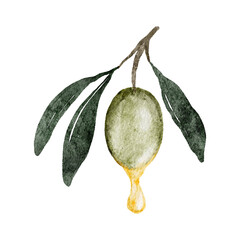 Watercolor painting of olive with oil dripping down isolated on white, clip art.