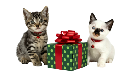Two adorable kittens sitting beside a green polka dot gift box with red bow