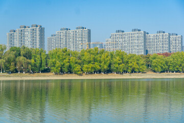 view of the city with river and woods