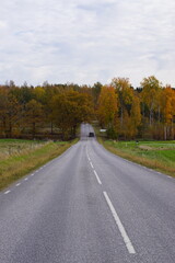 Fototapeta premium Orange and yellow autumn vibes in the Swedish countryside forests around Sörmland, Sweden 