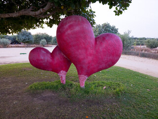 pink heart on grass in the park. Park embellished with artificial heart sculpture. A Selfie Point of Concrete Heart for the Tourists visiting. Heart shape pink artificial rose background ,natural text