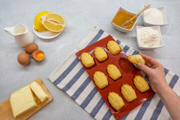 Madeleine Cookies. French lemon cookies and ingredients. French Madeleine cookies, top view.