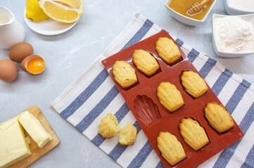 Madeleine Cookies. French lemon cookies and ingredients. French Madeleine cookies, top view.