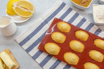 Madeleine Cookies. French lemon cookies and ingredients. French Madeleine cookies, top view.