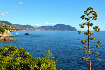 View of the Nervi Promenade, Genoa, Liguria, Italy