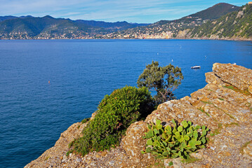 Panoramic view of Camogli and Punta Chiappa, in Liguria, Italy