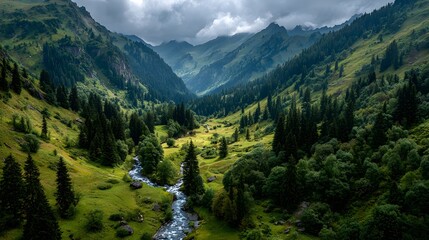Fototapeta premium Aerial drone shot of lush green mountain valley with winding hiking trail and stream surrounded by pine forest slopes in summer day.