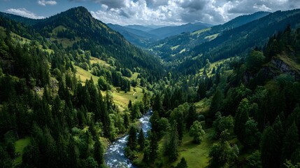Obraz premium Aerial drone shot of lush green mountain valley with winding hiking trail and stream surrounded by pine forest slopes in summer day.