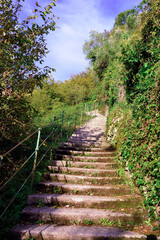 Trail from San Rocco di Camogli to Punta Chiappa, Liguria, Italy