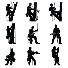 silhouette of people are cutting tree