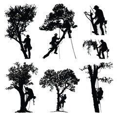silhouette of people are cutting tree