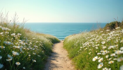 Sandy path bordered by white wildflowers leads to blue ocean under clear sky. Green grass covers hillsides near coastal pathway. Serene summer scenery offers peaceful journey.